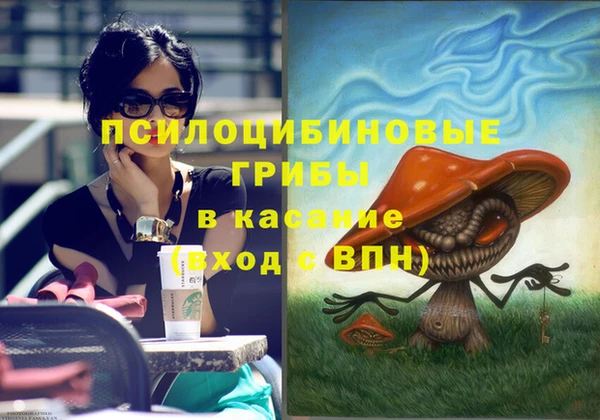 молекула духа Михайловск