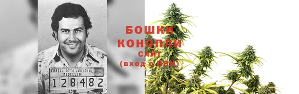 COCAINE Гусиноозёрск