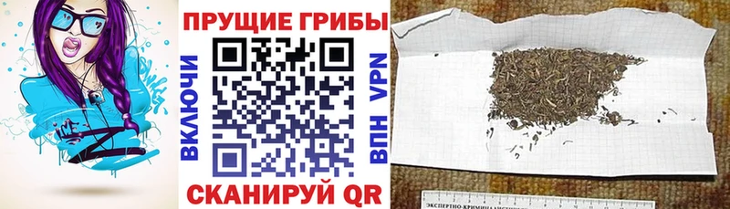 Галлюциногенные грибы GOLDEN TEACHER  Исилькуль 